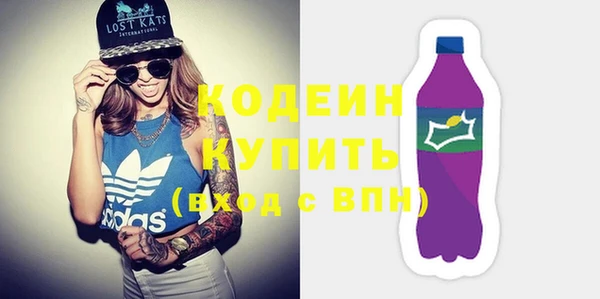 индика Беслан