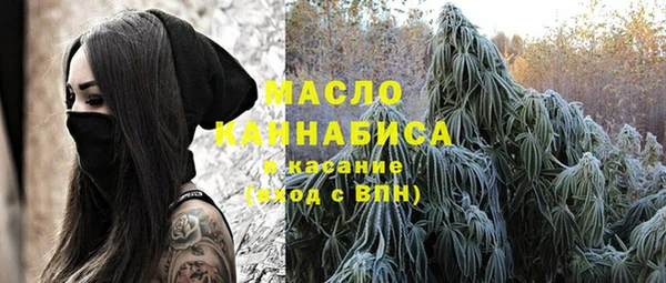 дмт Протвино