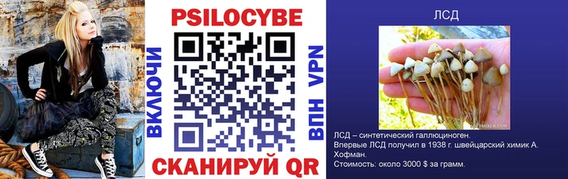 Купить где Карталы Галлюциногенные грибы мицелий